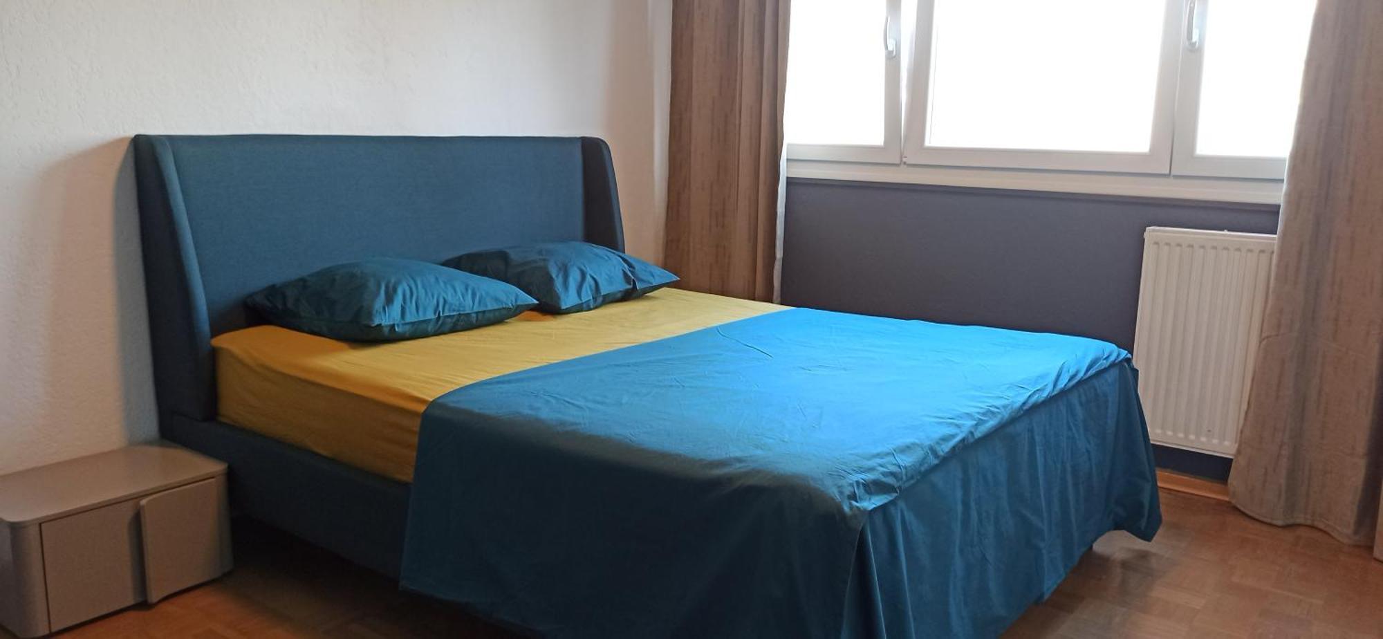 Apartement 2 Rooms Saint Louis - Euroairport - Basel - Train Station المظهر الخارجي الصورة